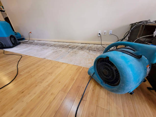Professional Sewage Cleanup technician working in Waverly, NE